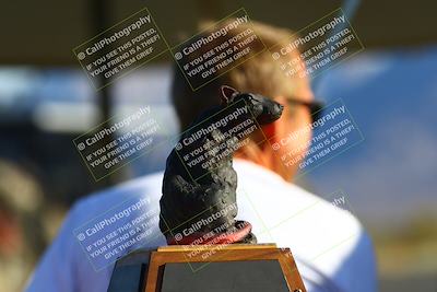 media/May-06-2023-PCA San Diego (Sat) [[abb7014659]]/Around the Pits/